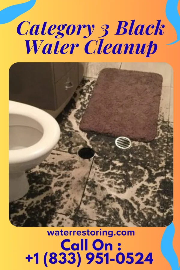Category 3 Black Water Cleanup in Aragon, GA
