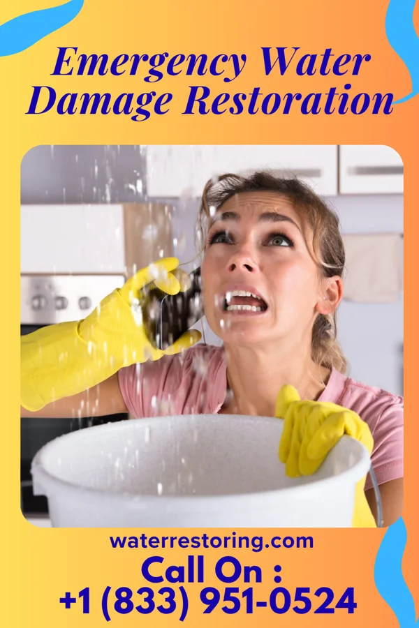 Emergency Water Damage Restoration in Aragon, GA