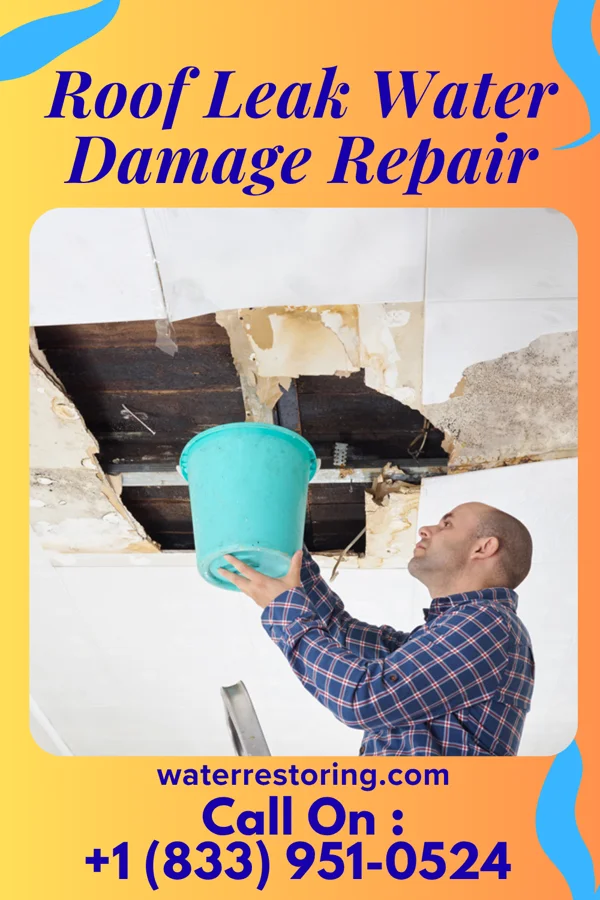 Roof Leak Water Damage Repair in Aragon, GA